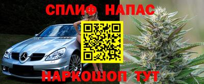 молекула духа Балахна