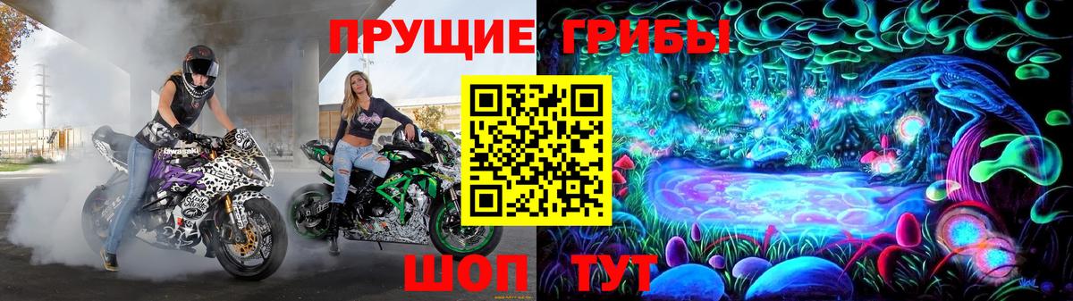 Галлюциногенные грибы Psilocybe  Псилоцибиновые грибы Psilocybine cubensis  Брянск  Вход с VPN 