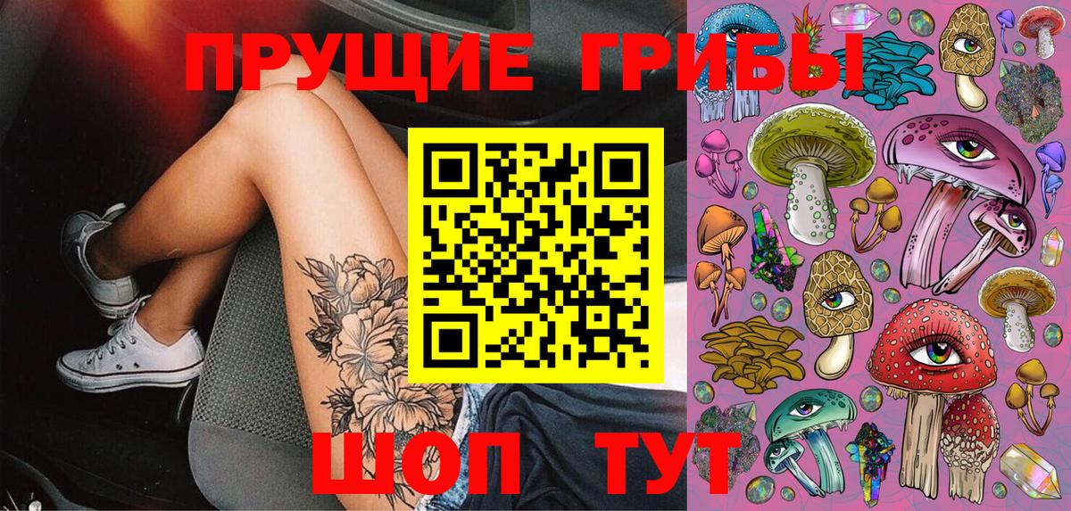 Галлюциногенные грибы Psilocybine cubensis Брянск